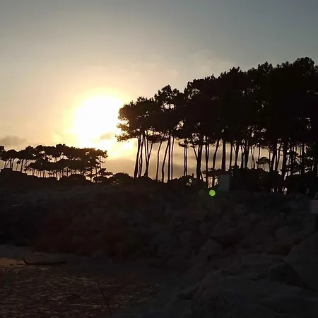 La Pinede *