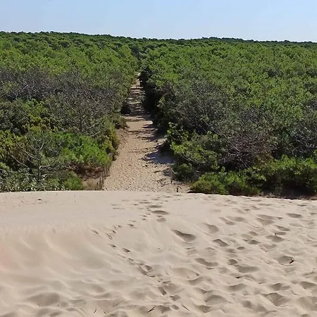 La Pinede مكان تخييم