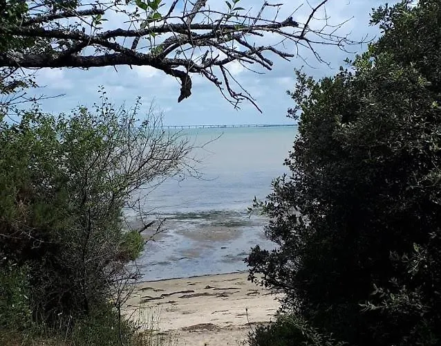 La Pinede * Les Mathes